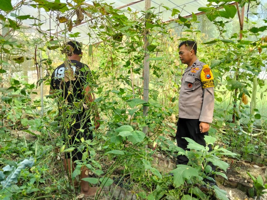 Bhabinkamtibmas Desa Banyukambang Ajak Warga Manfaatkan Pekarangan Rumah untuk Dukung Ketahanan Pangan